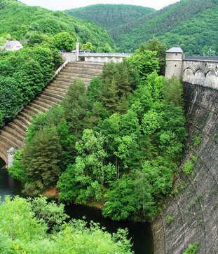 Nationalpark Eifel