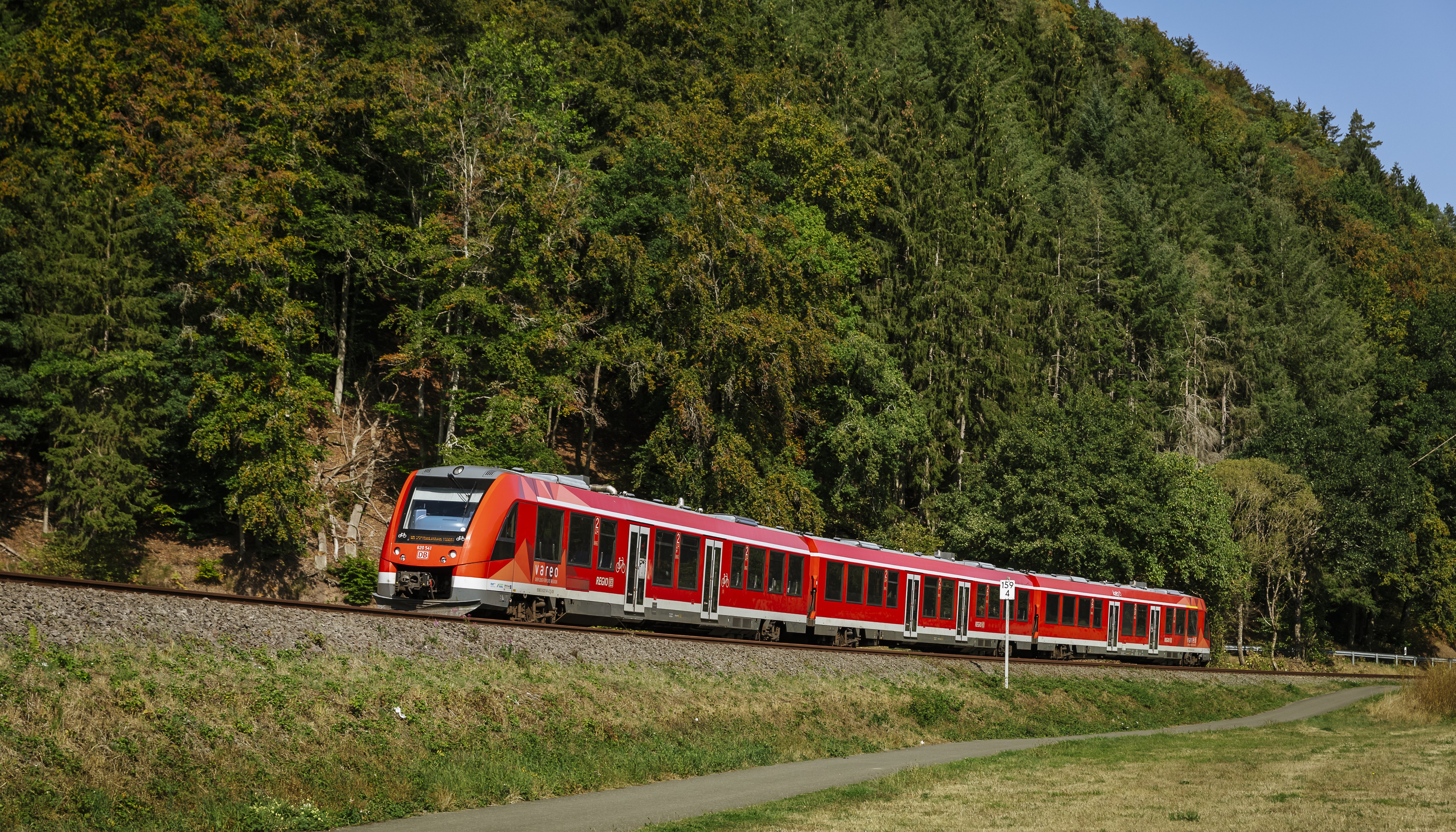 Ein Vareo-Zug fährt durch eine grüne Landschaft.