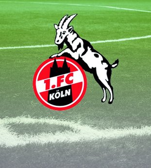 1. FC Köln Logo auf Rasenfläche